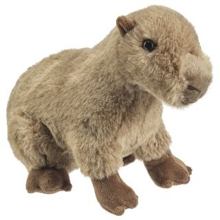 Obrázek z Kapybara plyš 23cm 